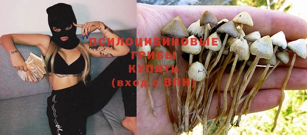 дживик Абаза