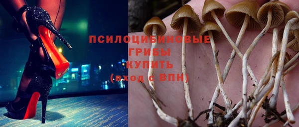 дживик Абаза