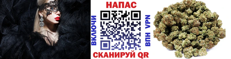 Конопля план Тотьма
